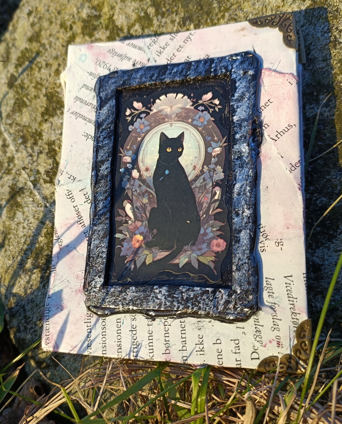 Cat Notebooks