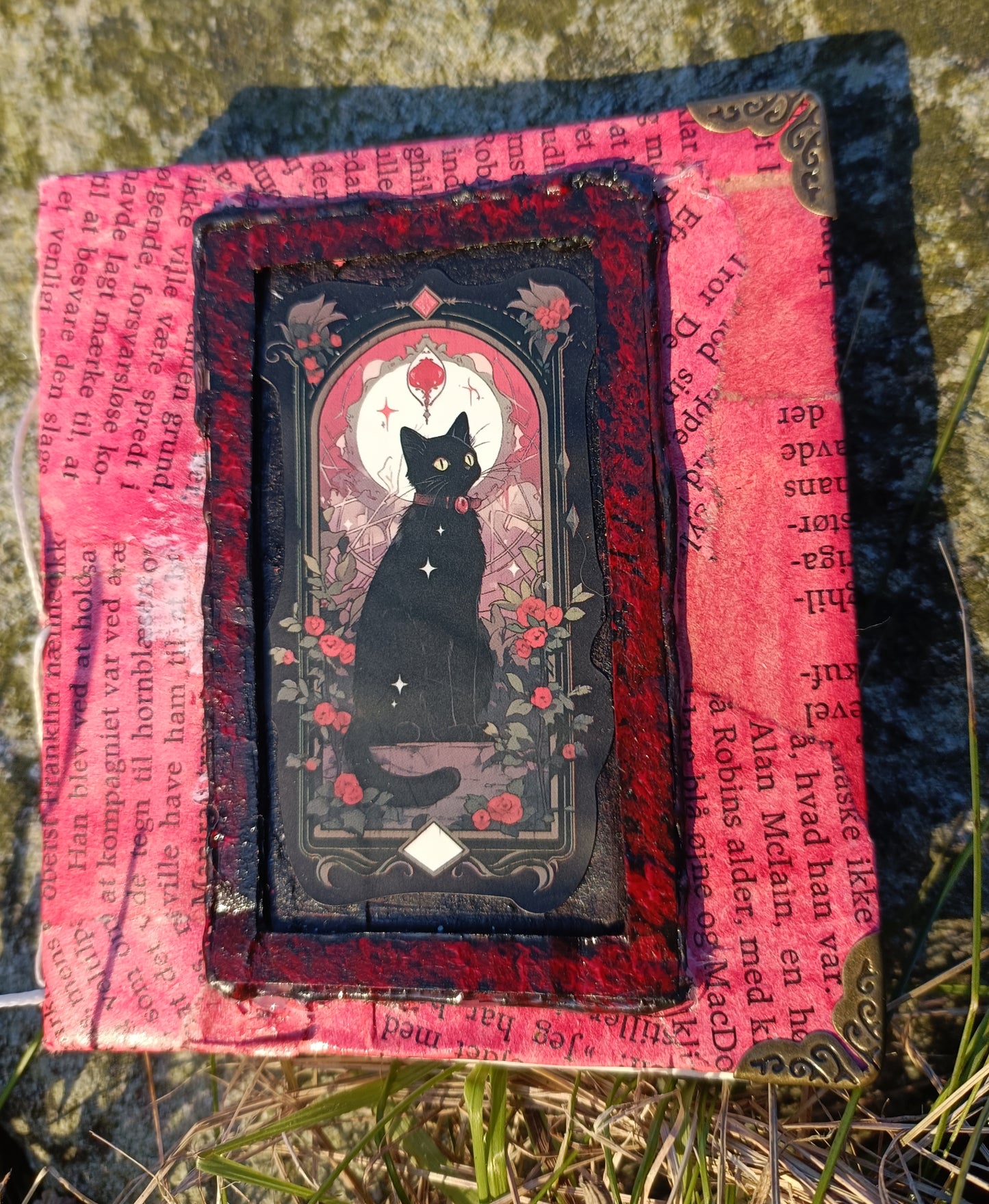 Cat Notebooks