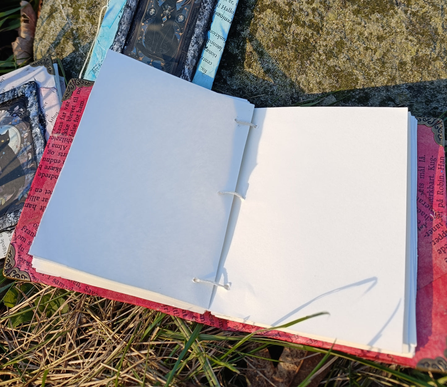 Cat Notebooks