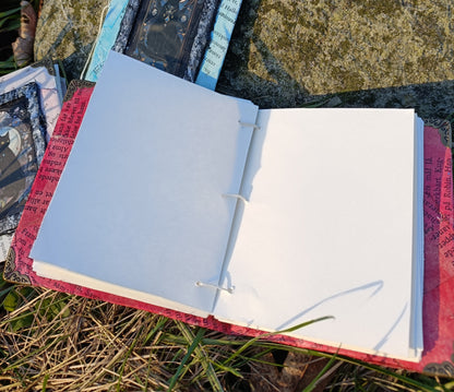 Cat Notebooks