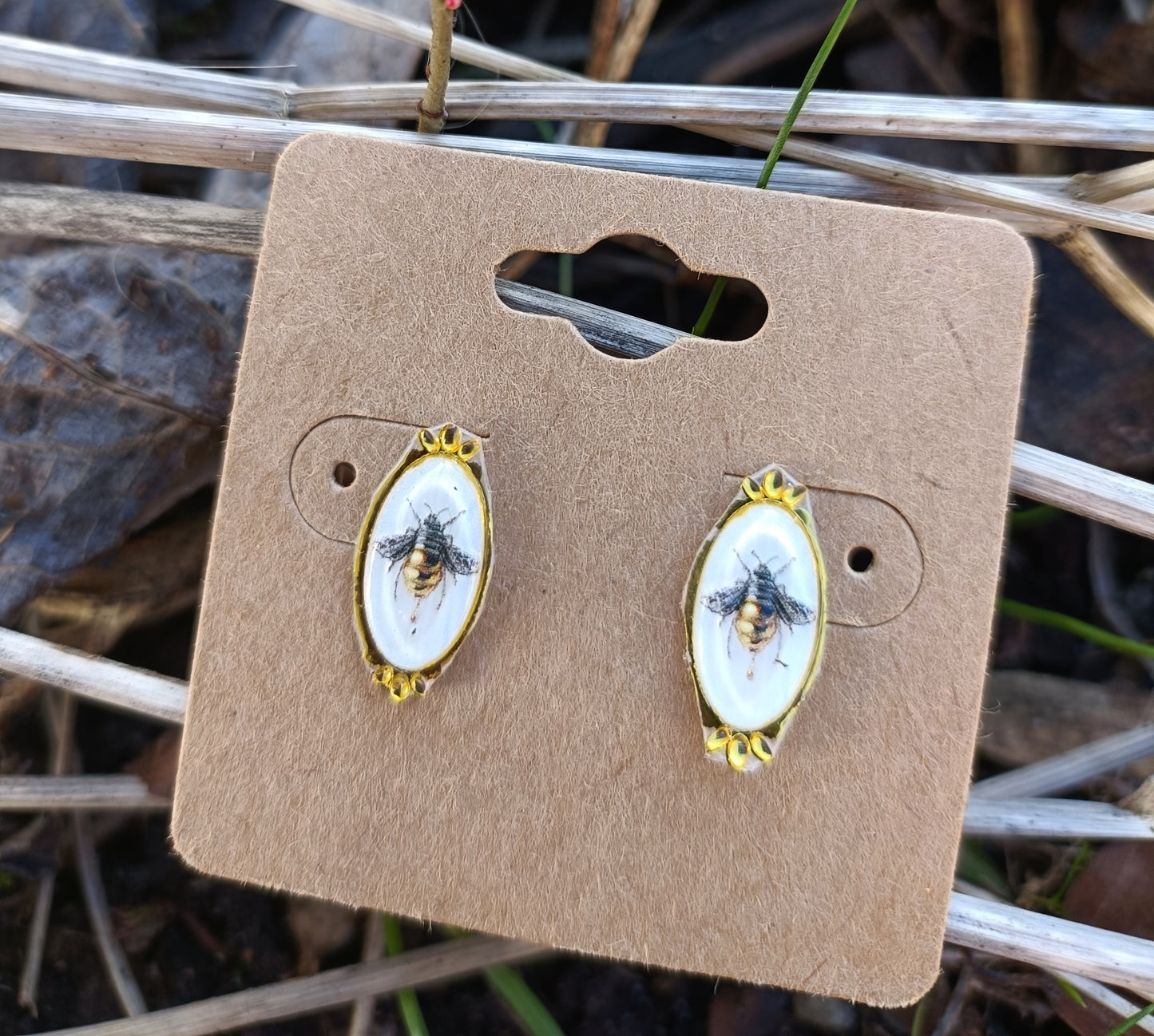 Bug Collection Earrings