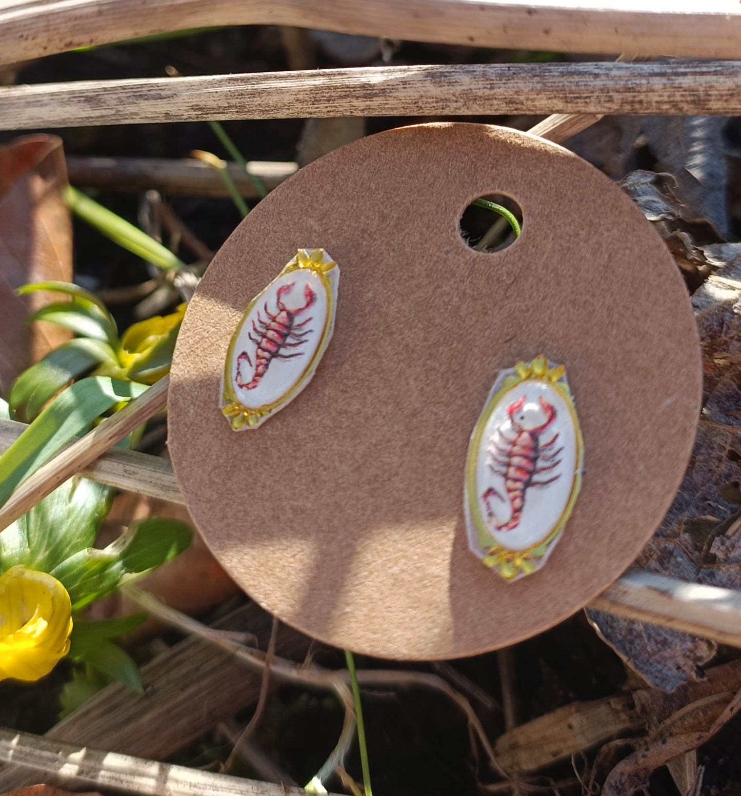 Bug Collection Earrings