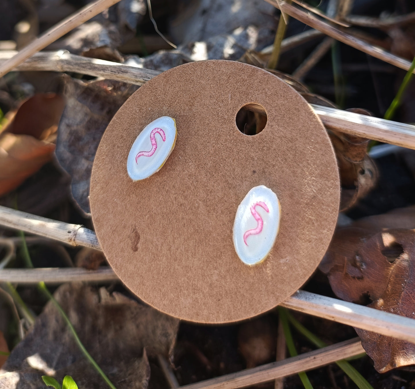 Bug Collection Earrings