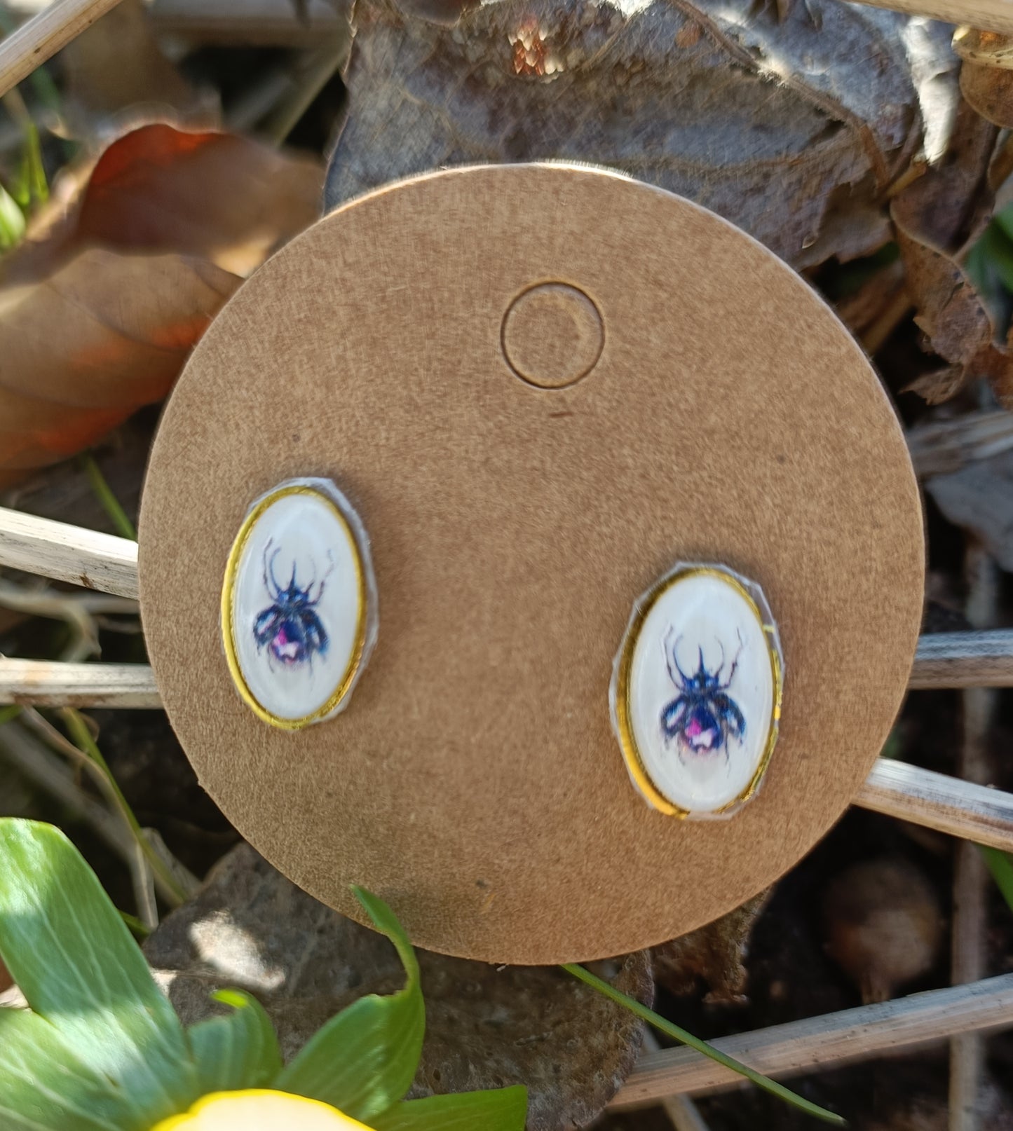 Bug Collection Earrings