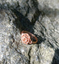 Rose ring
