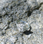 Rose ring