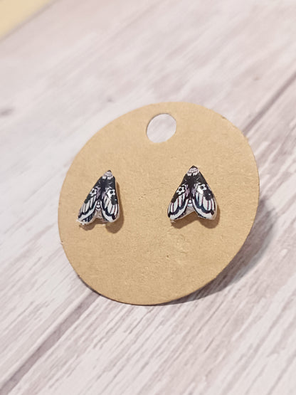 Moth Earring Studs