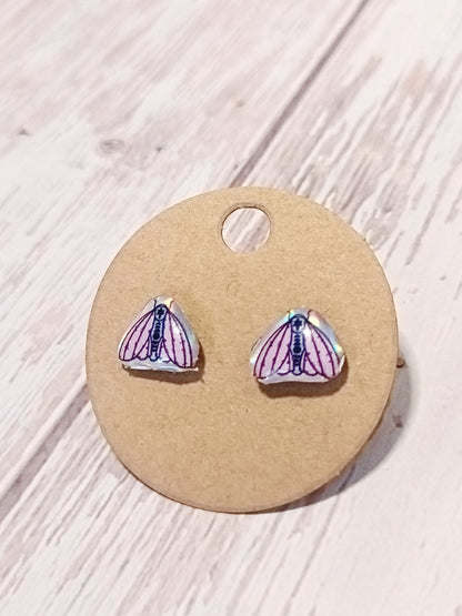 Moth Earring Studs